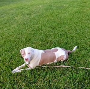 Meet your Posher, Kristi